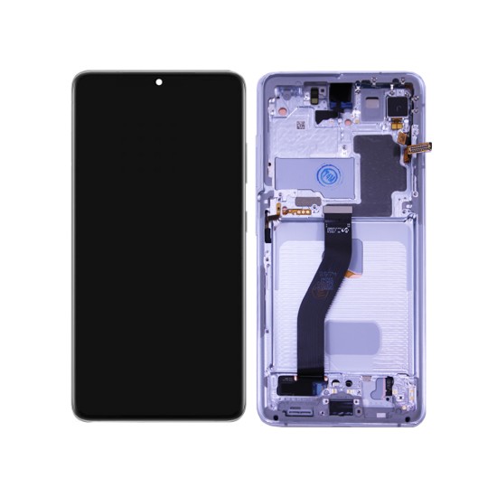 Touch+Display+Frame Samsung Galaxy S21 Ultra 5G 2021/G998B Service Pack Prata